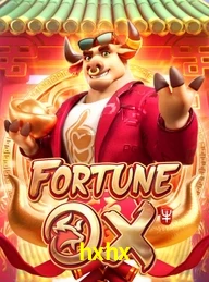 HXHX.COM